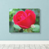 Het perfecte Roos! Canvas Afdruk (Insitu (Houten vloer))