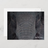 Het Personaliseerbare Briefkaart van de Olifant (Voorkant / Achterkant)