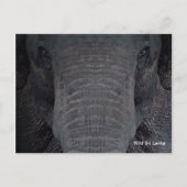 Het Personaliseerbare Briefkaart van de Olifant (Voorkant)