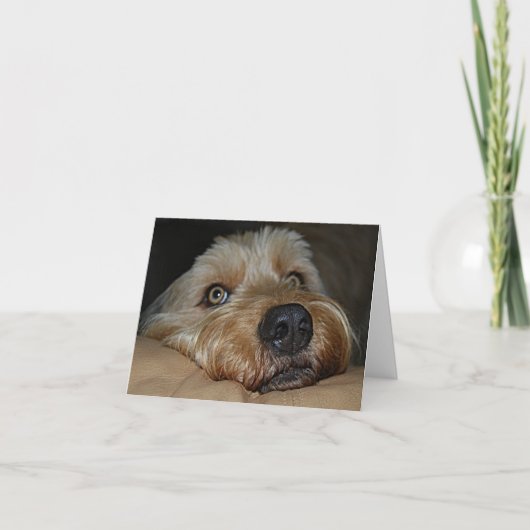 Het Personaliseerbare Wenskaart van de Kaart (Voorkant)