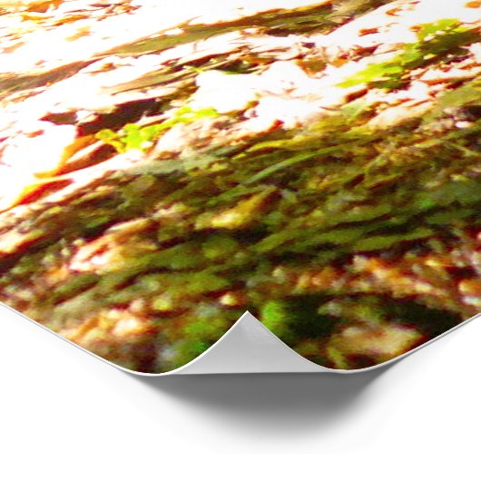 Het perspectief van een hond poster (Hoek)