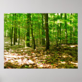 Het perspectief van een hond poster (Voorkant)