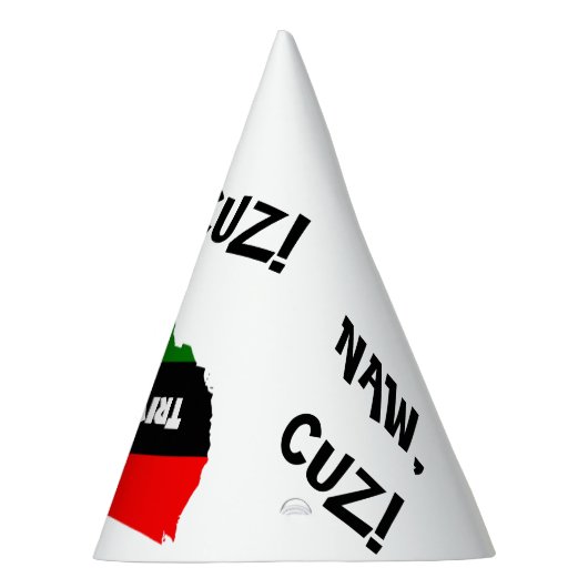 Het Pet Trivia Soul Dunce Feesthoedjes (Rechts)