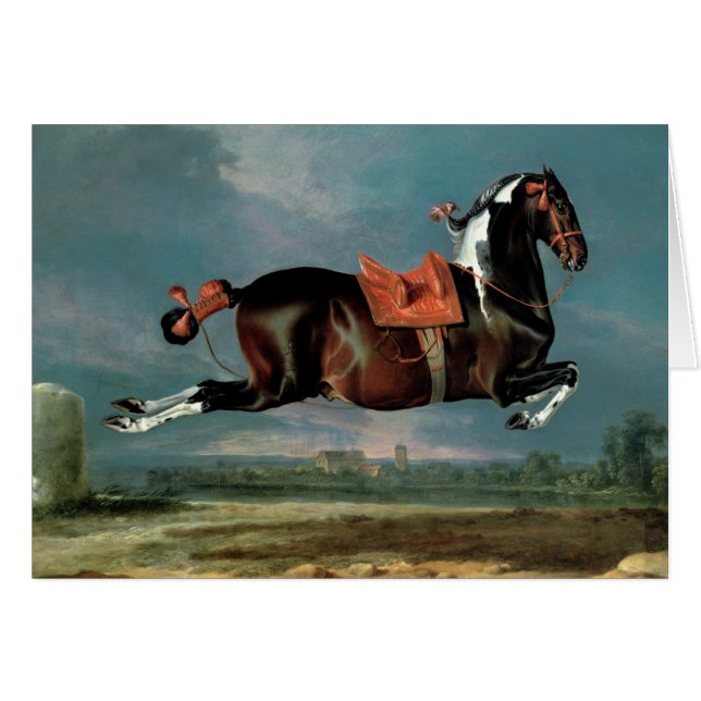 Het pietbald-paard 'Ceheld' fokken (Voorkant Horizontaal)