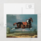 Het pietbald-paard 'Ceheld' fokken Briefkaart (Voorkant / Achterkant)