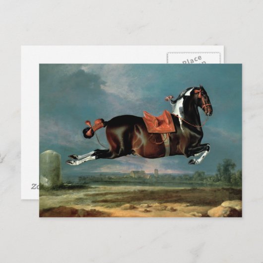 Het pietbald-paard 'Ceheld' fokken Briefkaart (Voorkant / Achterkant)