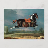 Het pietbald-paard 'Ceheld' fokken Briefkaart (Voorkant)