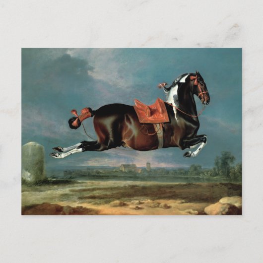 Het pietbald-paard 'Ceheld' fokken Briefkaart (Voorkant)