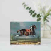 Het pietbald-paard 'Ceheld' fokken Briefkaart (Staand voorkant)