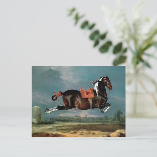 Het pietbald-paard 'Ceheld' fokken Briefkaart (Staand voorkant)