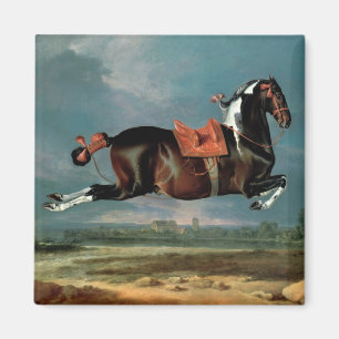 Het pietbald-paard 'Ceheld' fokken Magneet