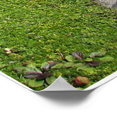 Het pijlpad poster (Hoek)