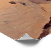 Het Pinto Paard van Edward Borein Poster (Hoek)