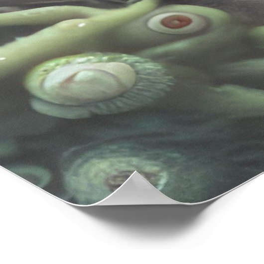 Het Plant Eyeball Poster (Hoek)