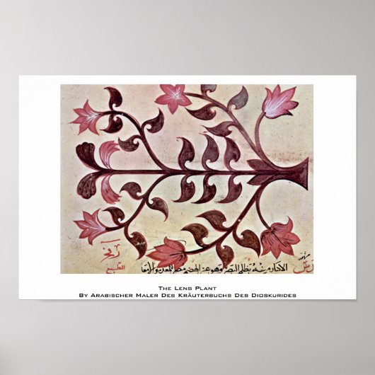 Het Plant Lens Poster (Voorkant)