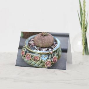 Het Plant Notecard van het honkbal door Succulent Kaart