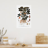 Het Plant Peanut Poster (Keuken)