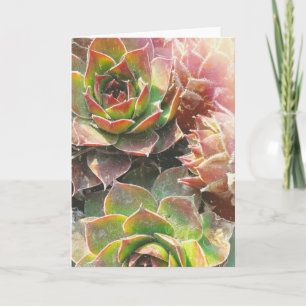 Het Plant van de kip en van het Kuiken Kaart