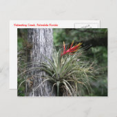 Het Plant van de lucht Briefkaart (Voorkant / Achterkant)