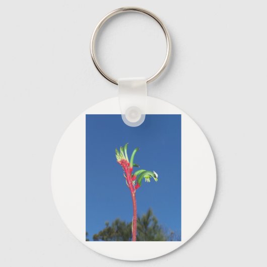 HET PLANT VAN DE POOT VAN DE KANGOEROE SLEUTELHANGER (Voorkant)