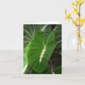 Het plant van de taro notecard kaart (Gele Bloem)