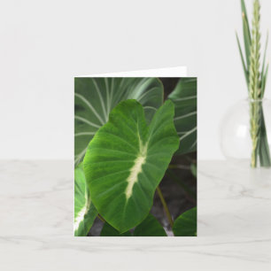 Het plant van de taro notecard kaart