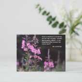 Het Plant van het wilgeroosje - het citaat van Briefkaart (Staand voorkant)