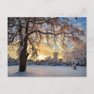 Het Platteland van de winter in Letland Briefkaart