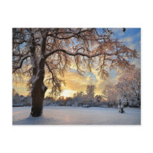 Het Platteland van de winter in Letland