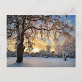 Het Platteland van de winter in Letland Briefkaart