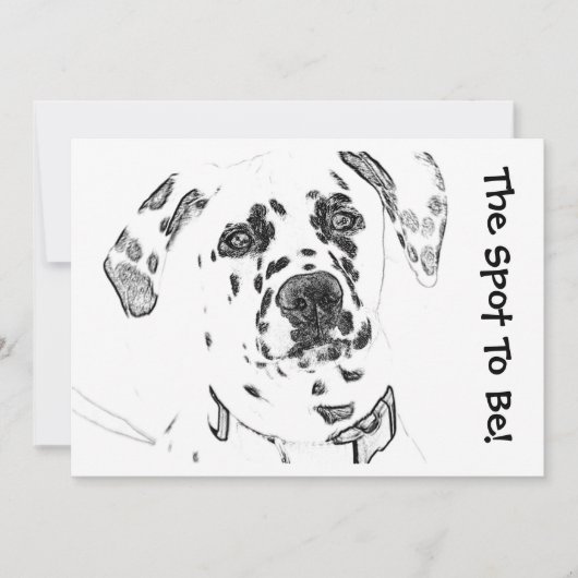 Het plein om Dalmatische uitnodigingen te zijn (Voorkant)