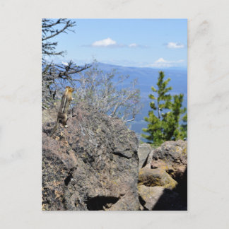 Het plezier van het Uitzicht Briefkaart