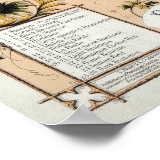 Het pluimvee van de wereld poster (Hoek)