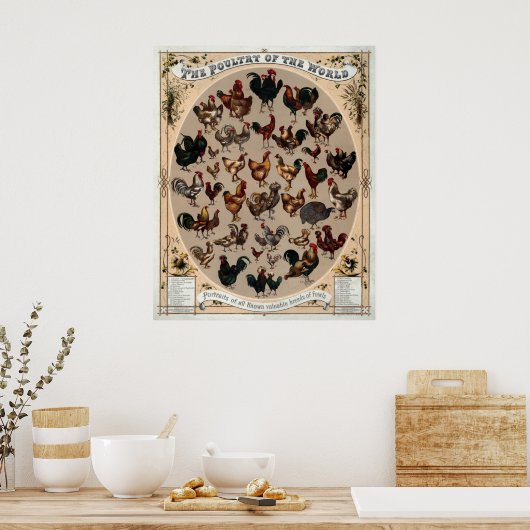 Het pluimvee van de wereld poster (Keuken)