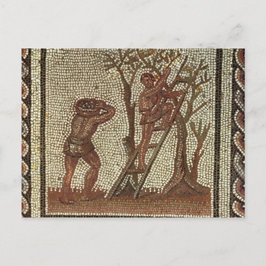 Het plukken Fruit, Roman Mozaïek Briefkaart (Voorkant)