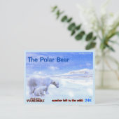 Het Polaire Beer is een gevaarlijk dier - hier, a Briefkaart (Staand voorkant)