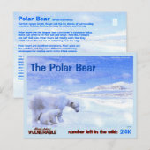 Het Polaire Beer is een gevaarlijk dier - hier, a Briefkaart (Voorkant / Achterkant)