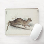 Het Polecat, 19e eeuw Muismat (Met muis)