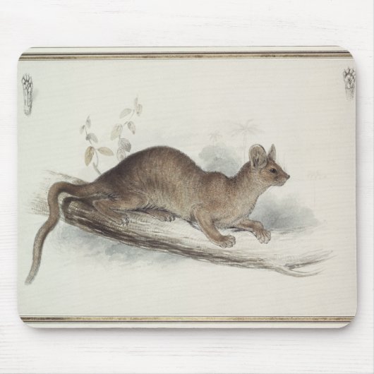 Het Polecat, 19e eeuw Muismat (Voorkant)