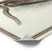 Het Polecat, 19e eeuw Poster (Hoek)