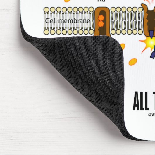 Het pompen van drie natriumionen uit de cel (Na-K Muismat (Hoek)