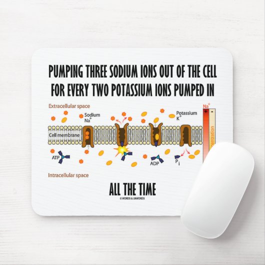 Het pompen van drie natriumionen uit de cel (Na-K Muismat (Met muis)