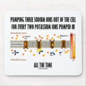 Het pompen van drie natriumionen uit de cel (Na-K Muismat (Voorkant)