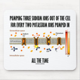 Het pompen van drie natriumionen uit de cel (Na-K  Muismat