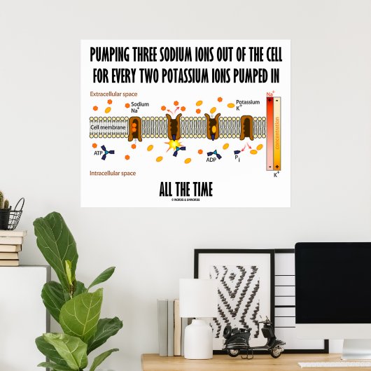 Het pompen van drie natriumionen uit de cel (Na-K  Poster (Thuiskantoor)