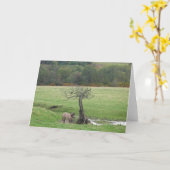 Het pony van het hoogland en raafwenskaart kaart (Gele Bloem)