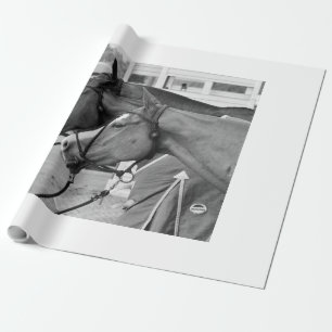 Het pony verpakkend document van het polo cadeaupapier