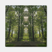 Het Portaal van de boom Magnet - het Ontwerp van d (Voorkant)