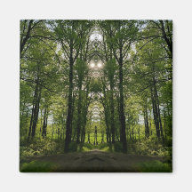 Het Portaal van de boom Magnet - het Ontwerp van d