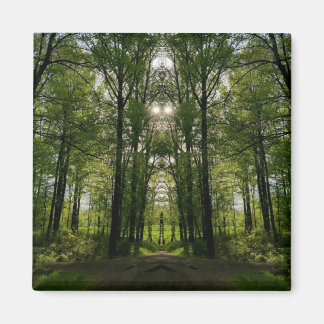 Het Portaal van de boom Magnet - het Ontwerp van d